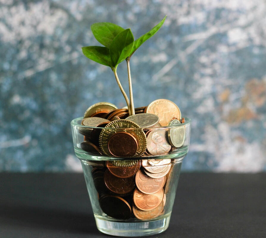 A green plant sprouting from a glass cup full of coins